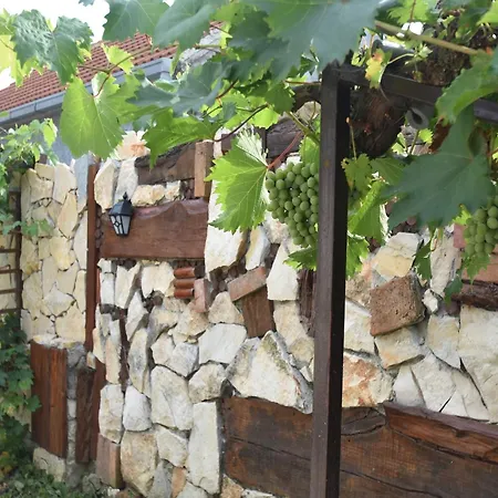 In Dalmatia Near Krka Np *