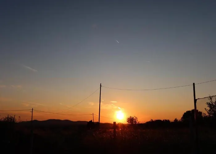 In Dalmatia Near Krka Np Ladevci